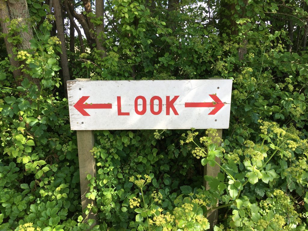 look sign