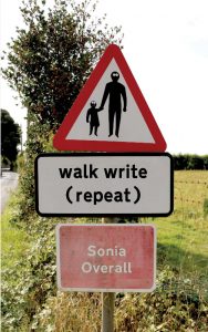 walk write repeat book cover