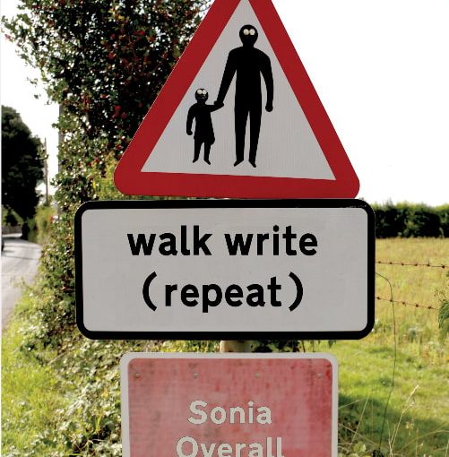 walk write repeat book cover