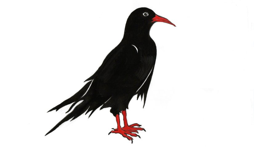 4WCoP 2024 Dr Chough logo